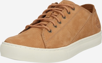 TIMBERLAND Sneakers low i brun: forside