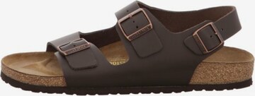 BIRKENSTOCK Sandale in Braun