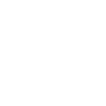Busem Logo