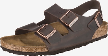 BIRKENSTOCK Sandals 'Milano' in Brown: front