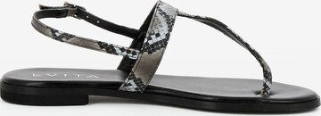 EVITA T-Bar Sandals 'OLIMPIA' in Grey