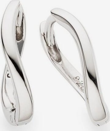 BRUNO BANANI Earrings in Silver: front