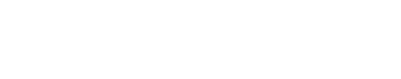BRONX Logo