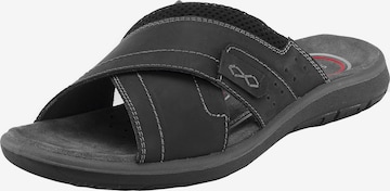 SALAMANDER Mules 'Logato' in Black: front