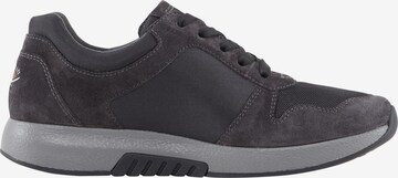 GABOR Sneakers in Grey