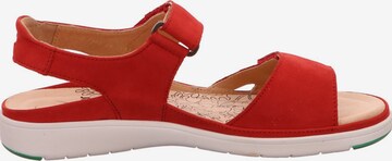 Ganter Sandals in Red