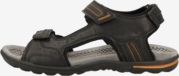 GEOX Wandelsandalen 'U Tevere' in Zwart