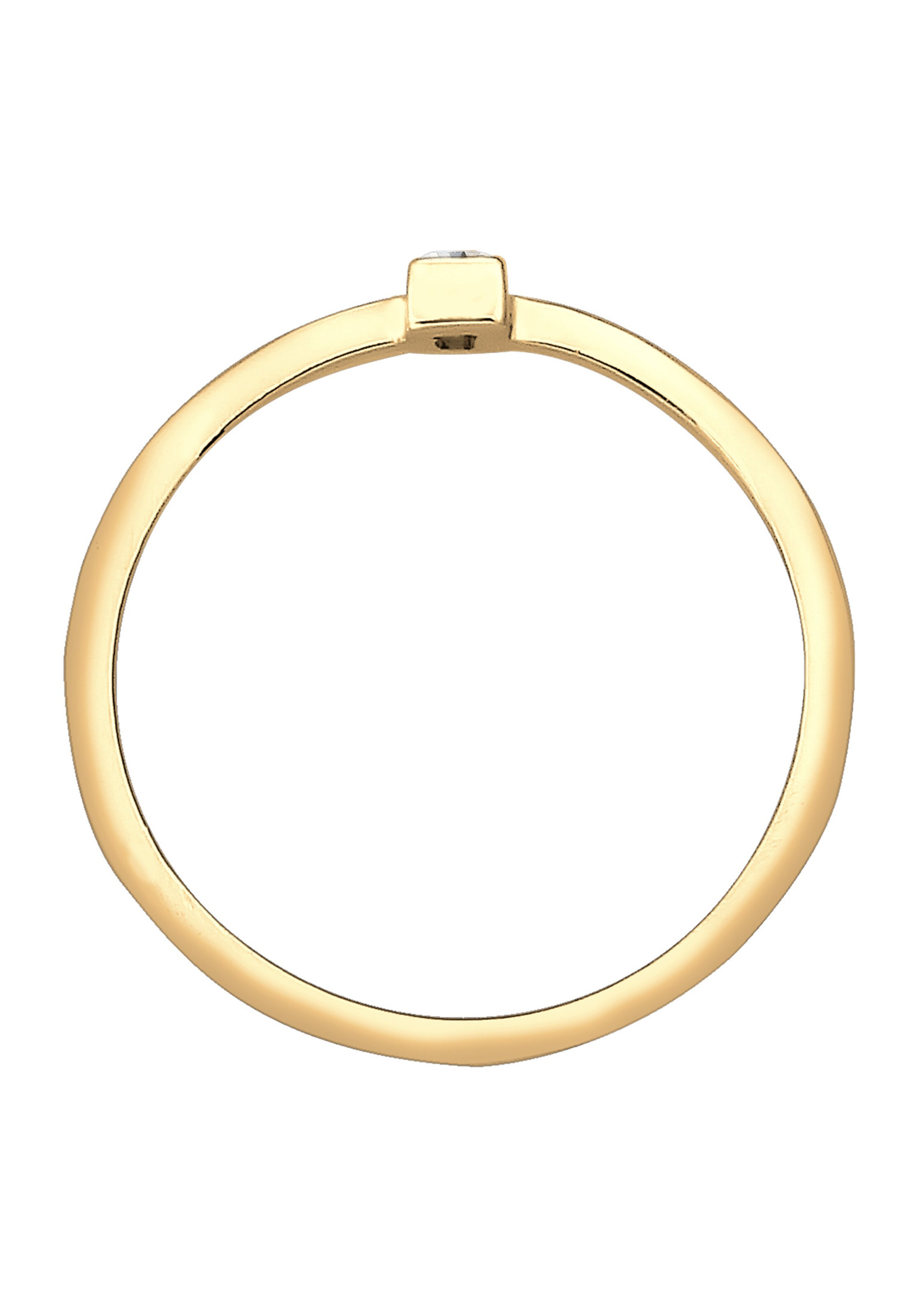 ELLI PREMIUM Ring in Goud
