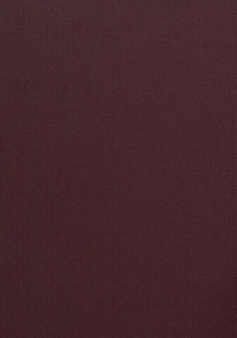 s.Oliver Bikiinipüksid 'Rome', värv pruun
