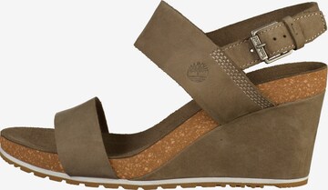 TIMBERLAND Strap Sandals in Brown