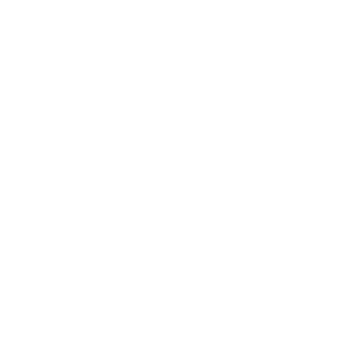 AMY LYNN Logo