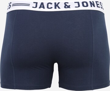 JACK & JONES Боксерки 'Sense' в синьо: отзад