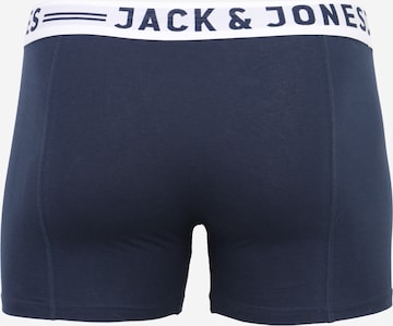 JACK & JONES Boksershorts 'Sense' i blå: tilbage