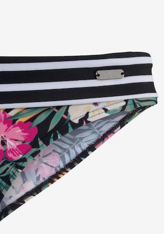 VENICE BEACH Bikinové nohavičky - zmiešané farby