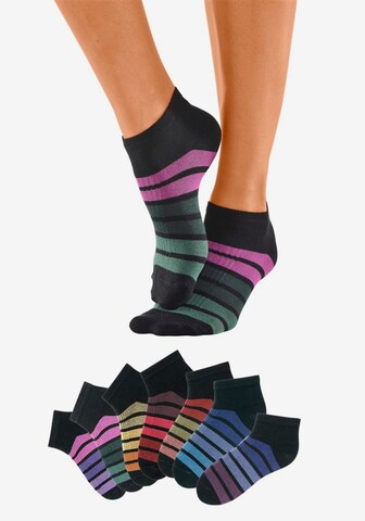H.I.S Ankle Socks in Mixed colors: front