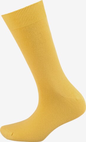 camano Socks in Mixed colors