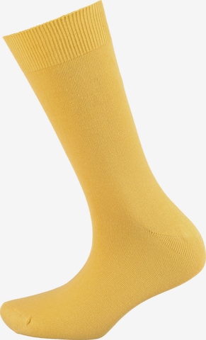 camano Socks in Mixed colors