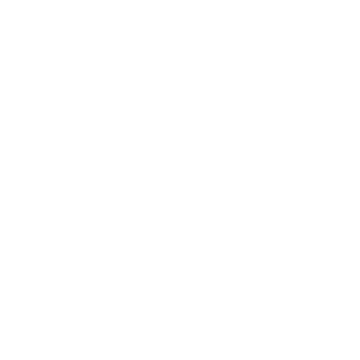 HOME STORE Logo