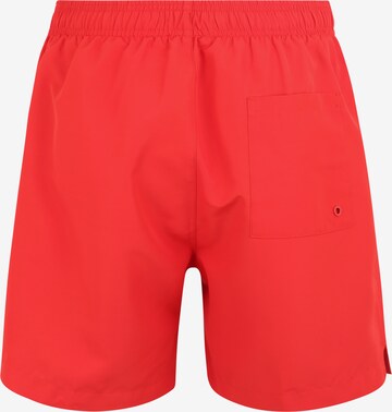 Calvin Klein Swimwear Szorty kąpielowe w kolorze czerwony: tył
