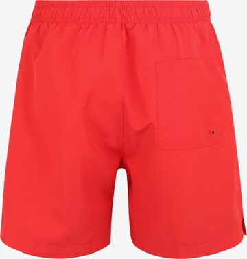 Calvin Klein Swimwear Badeshorts in Rot: zadná strana