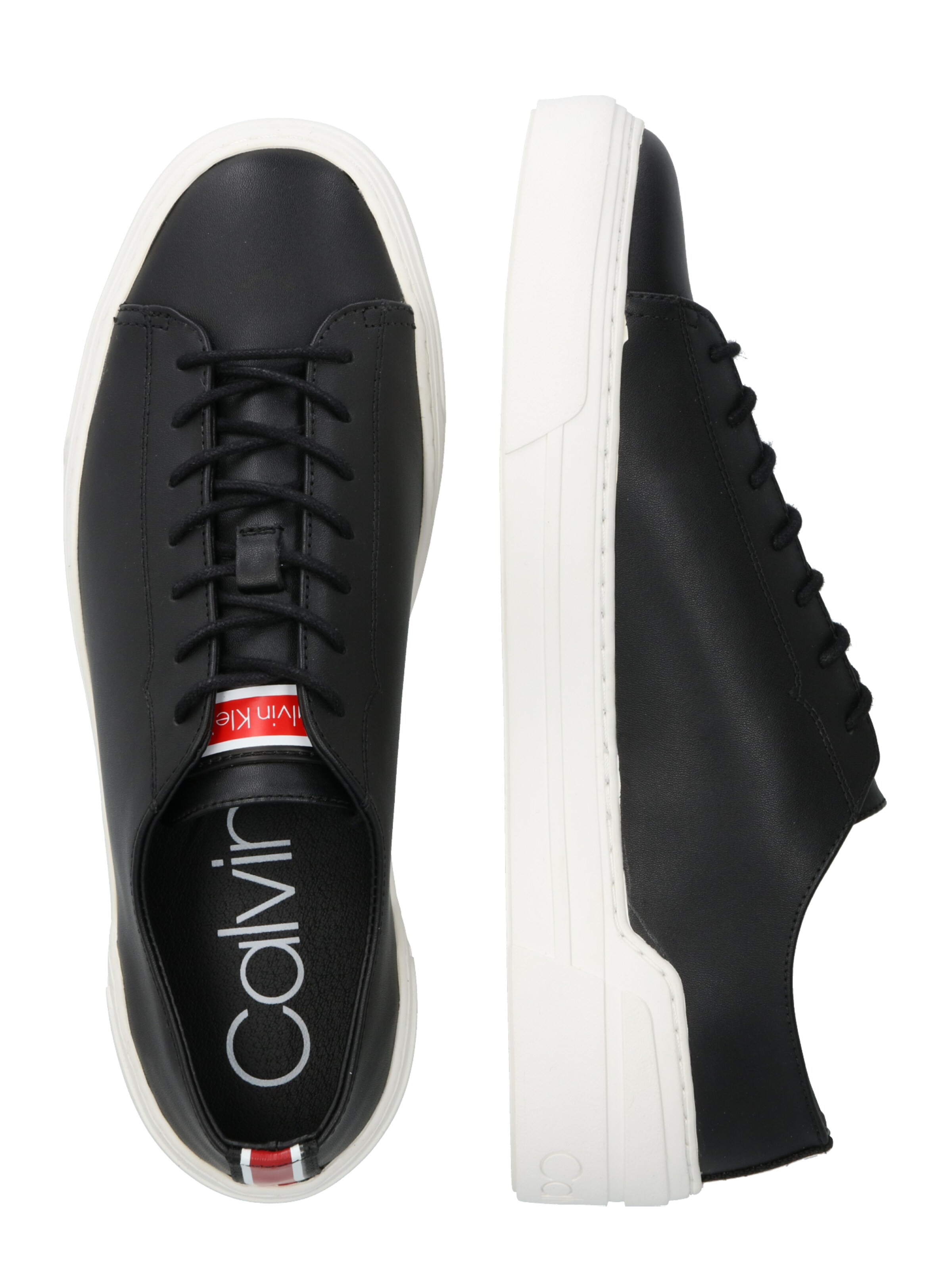 calvin klein octavian