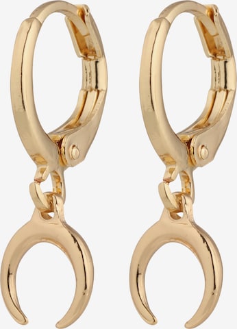 ABOUT YOU Earrings 'Liz' in Gold: front