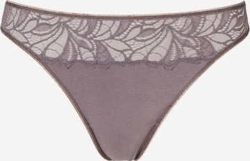 VIVANCE Panty in Mixed colors