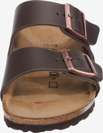 Mule 'Arizona' BIRKENSTOCK en marron