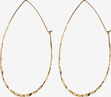 Pilgrim Earrings 'Fabia' in Gold: front