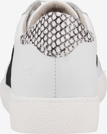 SANSIBAR Sneakers in White