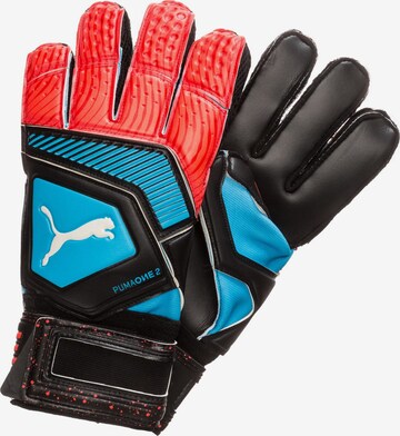 Gants de sport 'One Protect 2 RC' PUMA en mélange de couleurs : devant