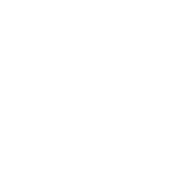 Iron Annie Logo