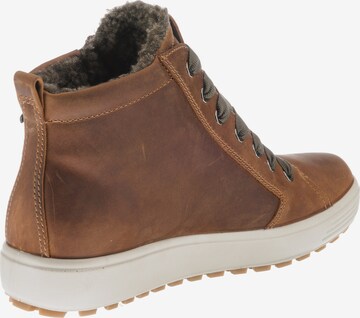 ECCO High-Top Sneakers in Brown