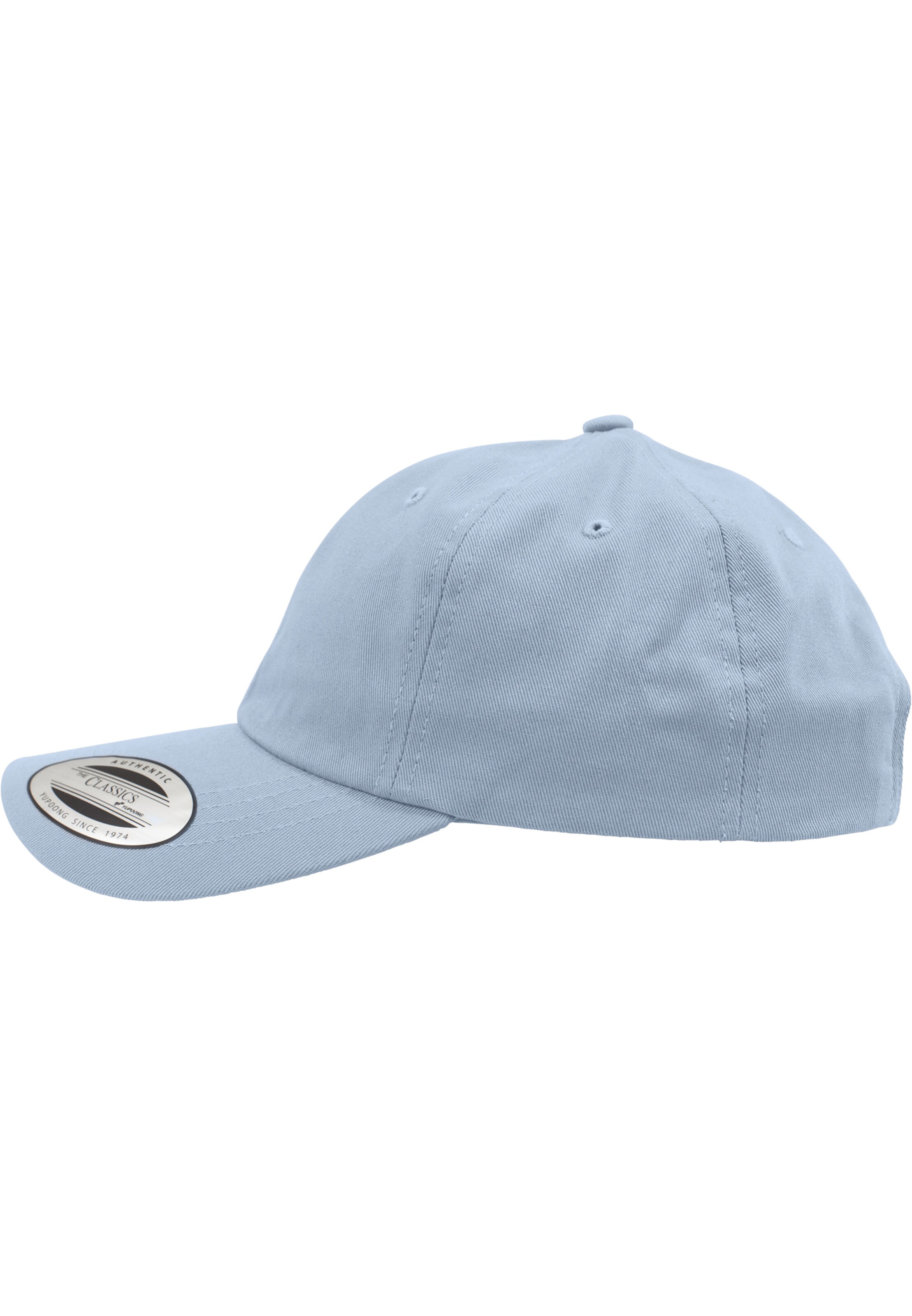 Flexfit Cap in Blue