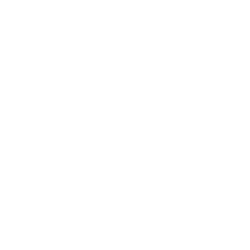 Women' Secret Logo