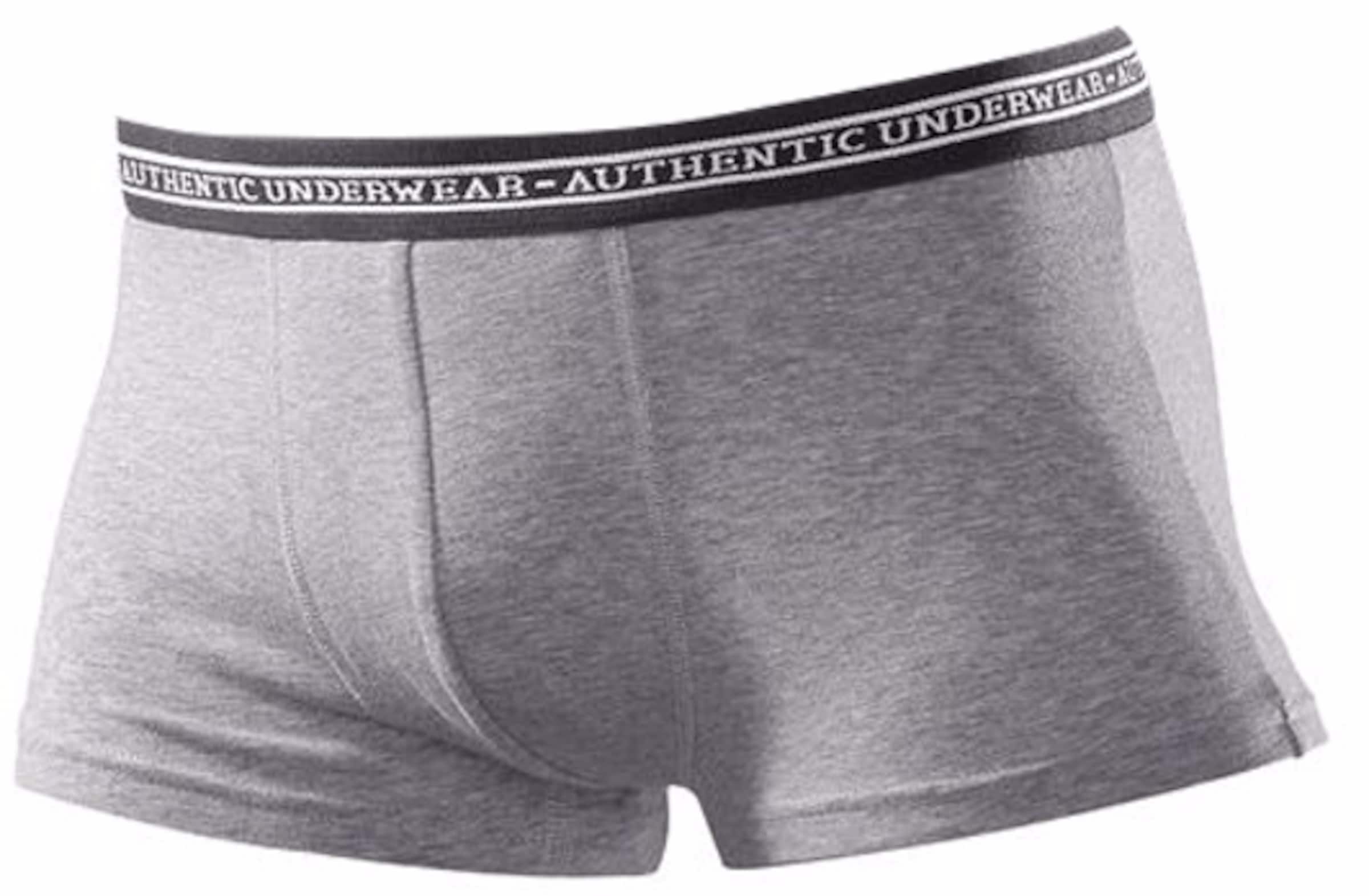 pilka AUTHENTIC UNDERWEAR Boxer trumpikės
