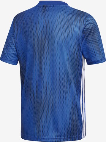 ADIDAS PERFORMANCE Trikot 'Tiro 19' in Blau