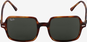 Ray-Ban Zonnebril '0RB1973' in Bruin