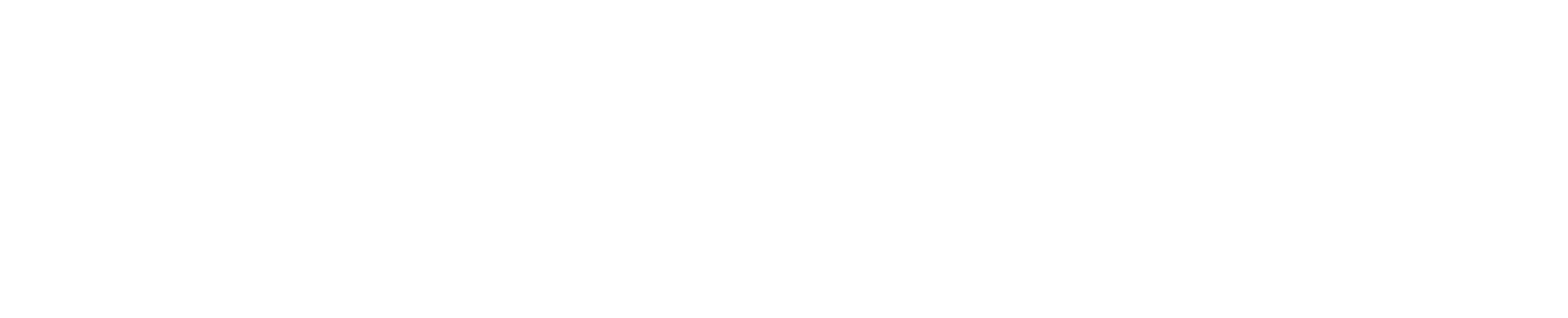 Maier Sports Logo
