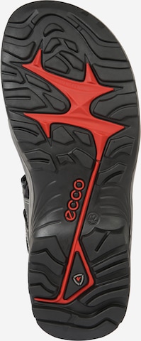 ECCO Трекинговые сандалии 'Offroad' в Серый