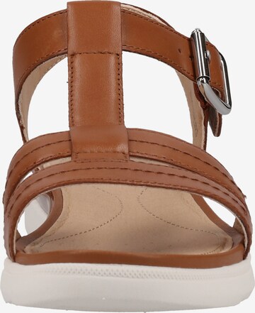 GEOX Sandals in Brown