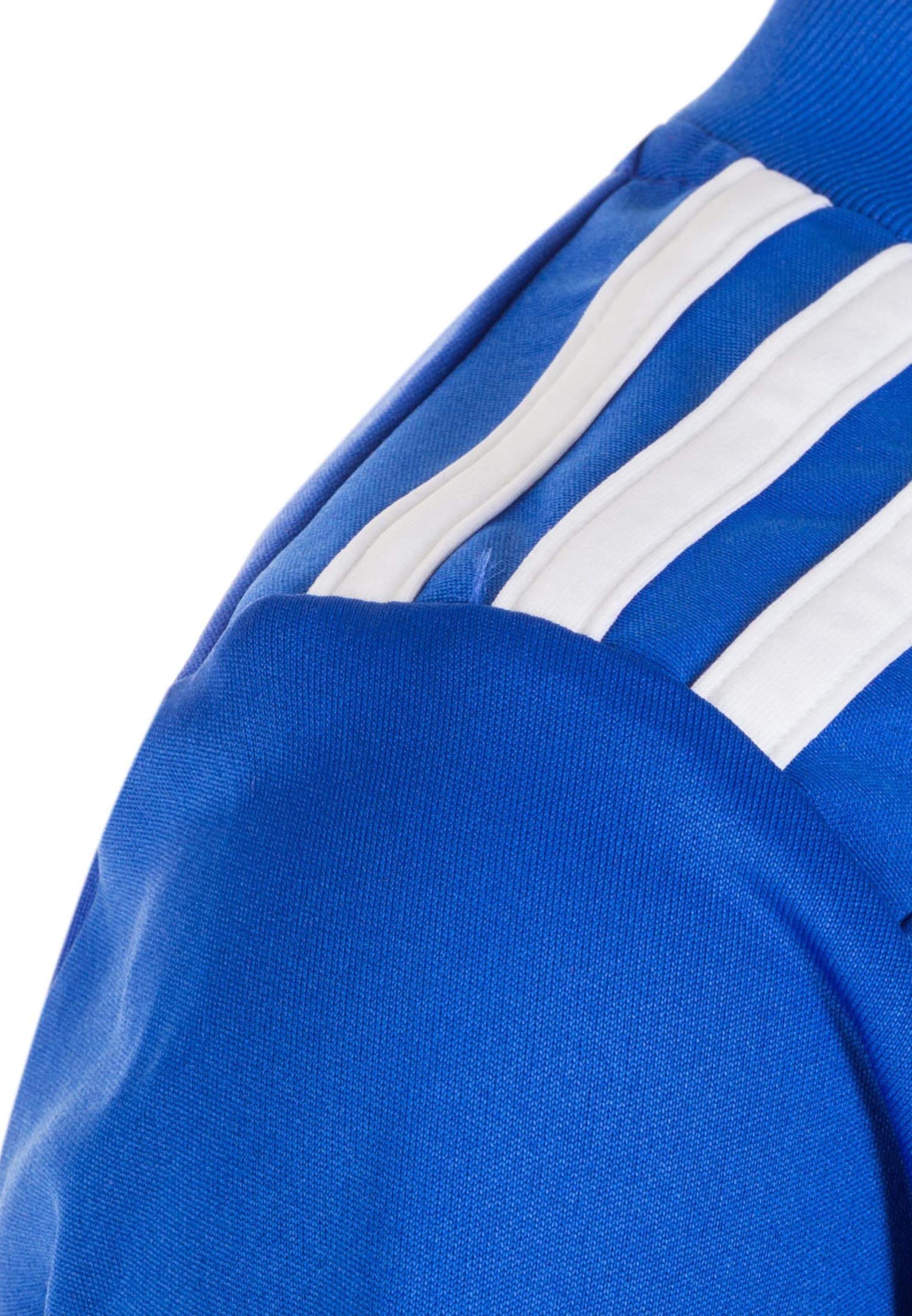 ADIDAS PERFORMANCE Performance Shirt 'Striped 19' in Blue