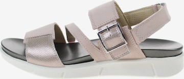 Legero Sandals in Pink