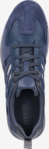 GEOX Sneaker in Blau