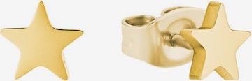 AMOR Earrings '4 tlg.' in Gold