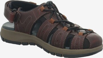 CLARKS Hiking Sandals in Brown