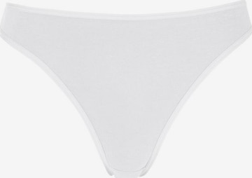 Tanga de la PETITE FLEUR pe albastru