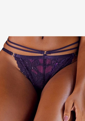 LASCANA String in Purple: front
