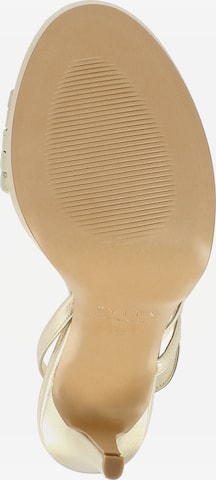 EVITA Strap Sandals 'Eva' in Gold