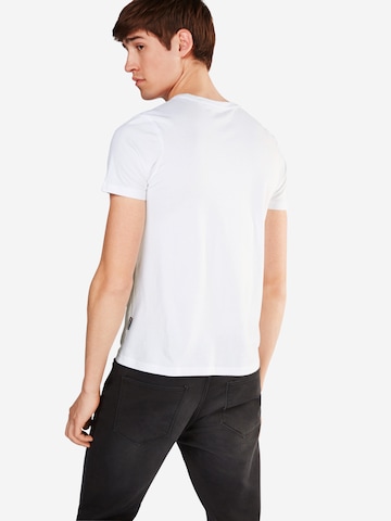 Schott NYC Bluser & t-shirts i hvid: tilbage
